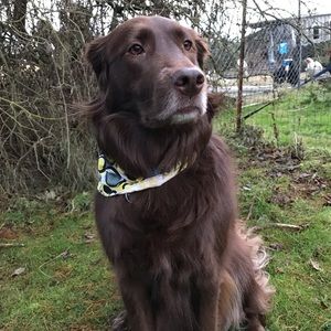 Meet your Posher, Regan